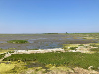 Jachthaven Schiermonnikoog